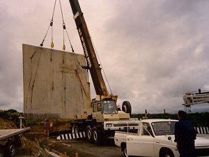 McIntosh cranes 1980